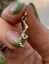 Load image into Gallery viewer, Teeny Weeny Worm Charm
