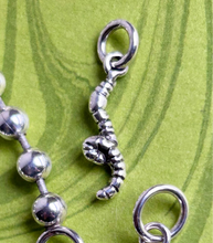 Load image into Gallery viewer, Teeny Weeny Worm Charm
