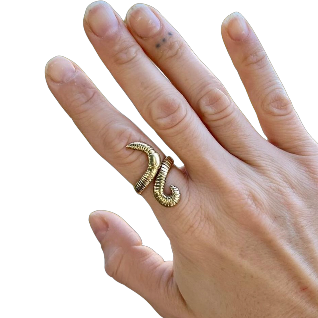 Brass Squirm Ring